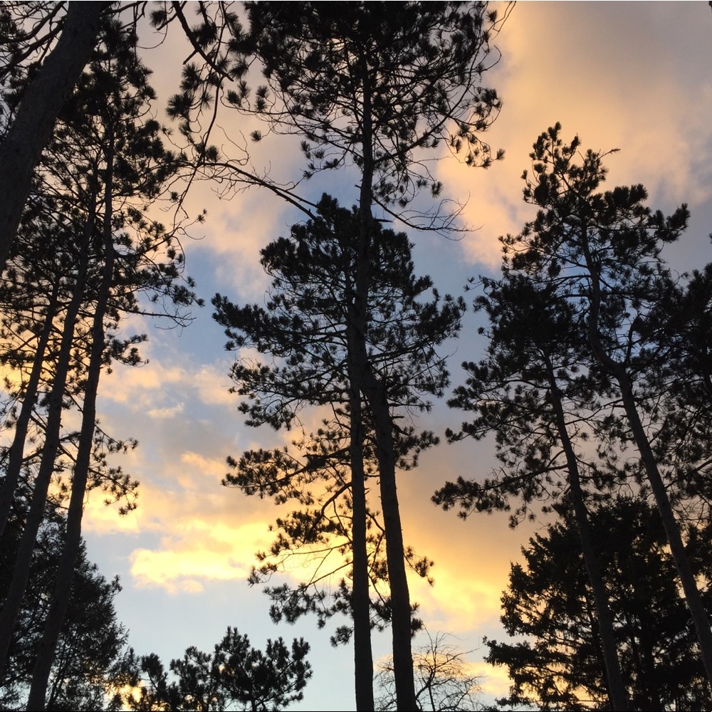 Meet your Posher, Makenzie